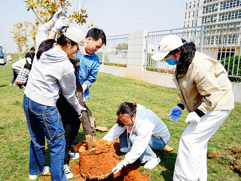 心系公益 生生不息 | 植绿护蓝，共筑生态家园的贝斯特bst全球奢华游戏力量